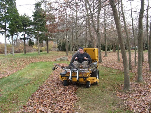 Fall and Spring Cleanup