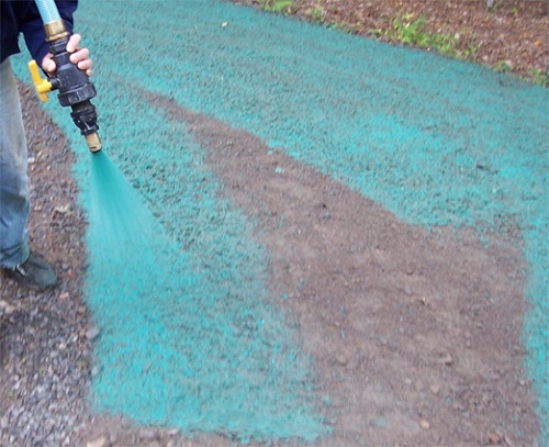 Hydroseeding