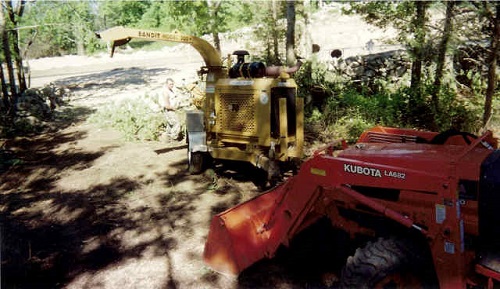 Lot Clear Cutting